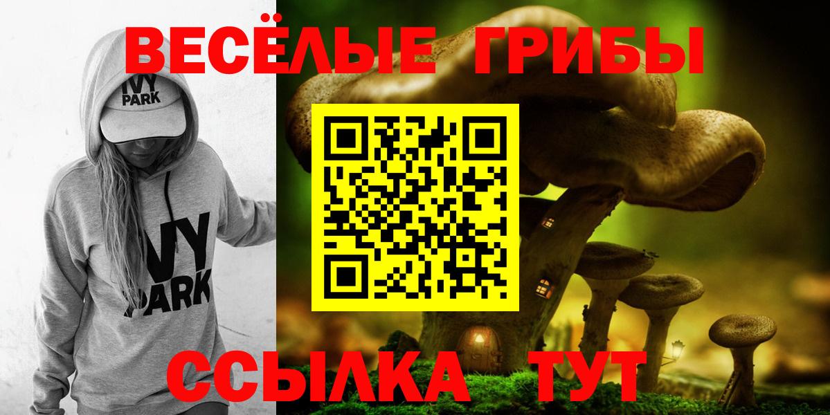 Пушкино  Псилоцибиновые грибы Magic Shrooms  Галлюциногенные грибы Psilocybe  Вход с VPN 